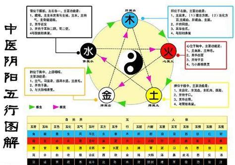 金為何生水|怎么理解五行理论中的“金生水”？